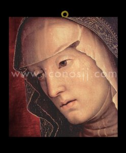 VI5 Piedad de María