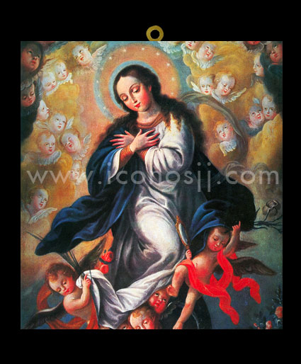 VRM20 Virgen de la Inmaculada Concepción
