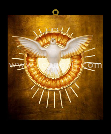 MCOM4 Espíritu Santo